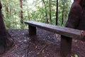 Redwood forest bench Royalty Free Stock Photo