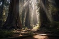 Redwood forest sunrays. Generate Ai
