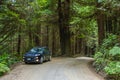 Redwood National Park, California, USA - June 10, 2015: Jeep Cherokee on a country road in the forest Redwood Royalty Free Stock Photo
