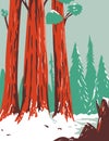 Redwood National and State Park During Winter with Coastal Redwoods Located Northern California WPA Poster Art Royalty Free Stock Photo