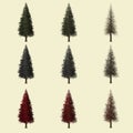 Redwood tree 3d rendering isolated for landscape designer.