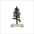 Redwood vector logo. Redwood icon