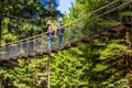 Redwoods Treewalk - Rotorua