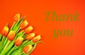 Redyellow tulips on a red background and the text THANK YOU in green letters Royalty Free Stock Photo