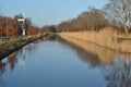 Reed in Apeldoorns kanaal and biking road Royalty Free Stock Photo