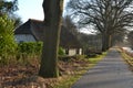 Reed in Apeldoorns kanaal and biking road Royalty Free Stock Photo