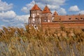 Reed on the background of Mir Castle. Mir, Belarus