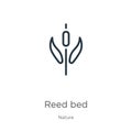 Reed bed icon. Thin linear reed bed outline icon isolated on white background from nature collection. Line vector sign, symbol for