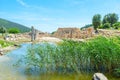 The reed beds in Agora