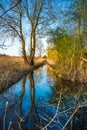 Reed beds reflected in waterway in warm evening light on Wicken Fen