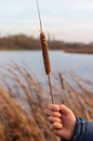 Reed in the boy's hand