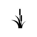 Reed, Cattail, Cane Flat Vector Icon Royalty Free Stock Photo