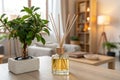 Reed diffuser and house plant on the table in living room Royalty Free Stock Photo