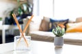 Reed diffuser to fragrance home interior on the coffee table of a light modern home living room