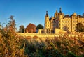 Reed edge on the Burgsee with the Schwerin Castle in the background. Germany