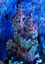 Reed Flute Cave