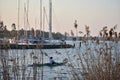 Reed grass with boat in background at lake Wannsee scene in Wannsee Berlin Germany Royalty Free Stock Photo