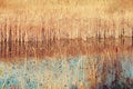 Reed grass dry and yellow on the water edge, blue pond lake with reflections Royalty Free Stock Photo