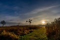 Reed and grasslandscape with a old windmill and a grass path as a leading line to the misty sunrise