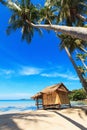 Reed huts and coconut palms Royalty Free Stock Photo