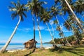 Reed huts and coconut palms Royalty Free Stock Photo