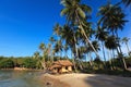 Reed huts and coconut palms Royalty Free Stock Photo