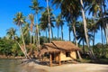 Reed huts and coconut palms Royalty Free Stock Photo