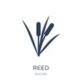 Reed icon. Trendy flat vector Reed icon on white background from