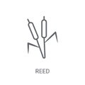 Reed icon. Trendy Reed logo concept on white background from Nat