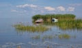 Reed island and boats, Peipus (Chudskoe) lake, Estonia