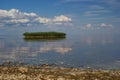 reed island, lake Peipsi, Estonia Royalty Free Stock Photo