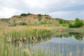 Reed and kaolin hill at the Blue Lagoon lake.
