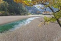 Reed lake in jiuzhaigou Royalty Free Stock Photo