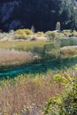 Reed lake in Jiuzhaigou Royalty Free Stock Photo