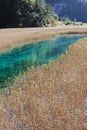 Reed lake in Jiuzhaigou