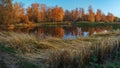 Reed lying against autumn trees reflected in water at sunset. Royalty Free Stock Photo