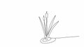 Reed or marsh hornwort, one line drawing animation. Video clip with alpha channel.