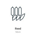 Reed outline vector icon. Thin line black reed icon, flat vector simple element illustration from editable concept isolated on