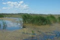 Flooded area in the Danube delta, Romania