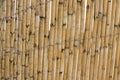 Reed screening texture, Natural Willow Garden Fence, Bamboo texture background Royalty Free Stock Photo