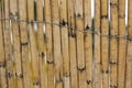 Reed screening texture, Natural Willow Garden Fence, Bamboo texture background Royalty Free Stock Photo