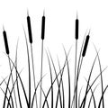 919 reed, seamless pattern, with a pattern of grass silhouettes and reed, in monochrome colors