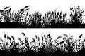 Reed silhouette. Black cattail grass strip border, marsh nature vegetation horizontal banners, grassland view. Vector