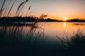 Reed silhouettes landscape lake during sunset Royalty Free Stock Photo