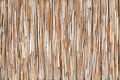 Reed texture
