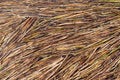 Reed Texture. Royalty Free Stock Photo