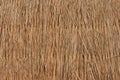 Reed texture wallpaper or background Royalty Free Stock Photo