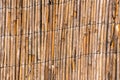 Reed Texture Wallpaper or Background Royalty Free Stock Photo