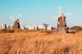 Reed and windmills in Sorae ecology wetland park, Incheon, Korea Royalty Free Stock Photo