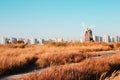 Reed and windmill in Sorae ecology wetland park, Incheon, Korea Royalty Free Stock Photo